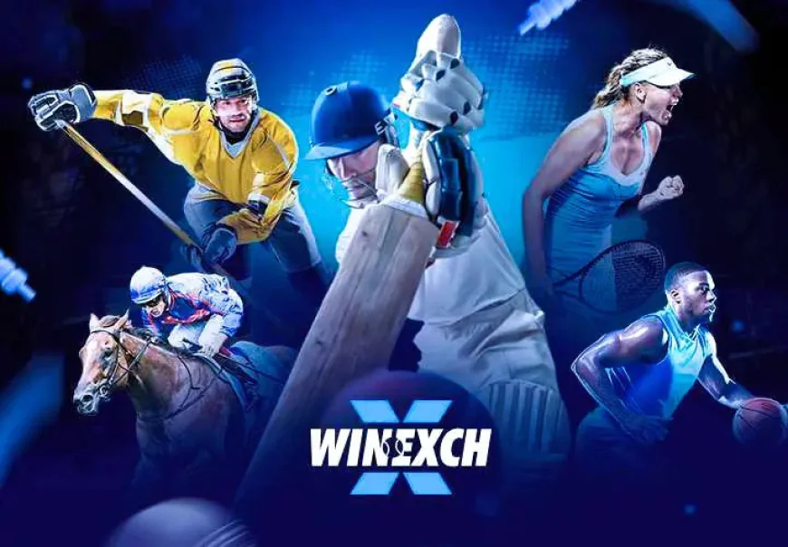 Winexch: Winexch – Smart & Secure Online Gaming Platform