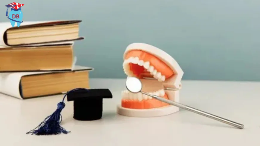 ADAT Exam Preparation in Canada: A Smarter Approach With Online Coaching & Mock Exams