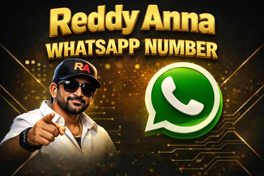 Reddy Anna WhatsApp Number – Contact for Sports ID