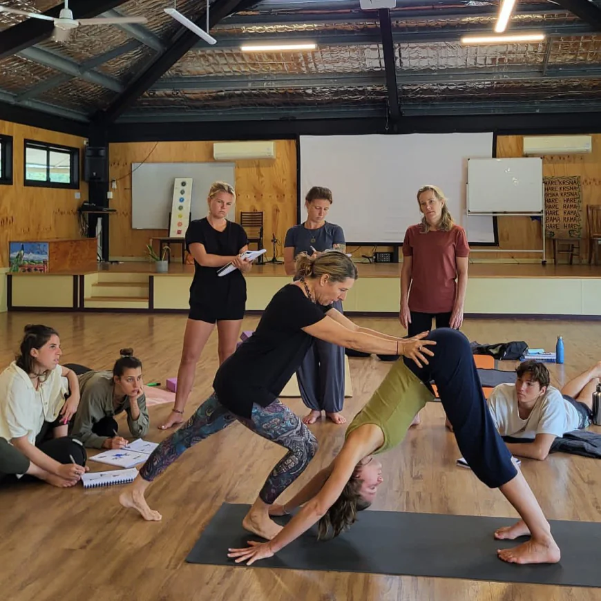 In-Depth Acupressure Course for Health, Therapy, and Wellness