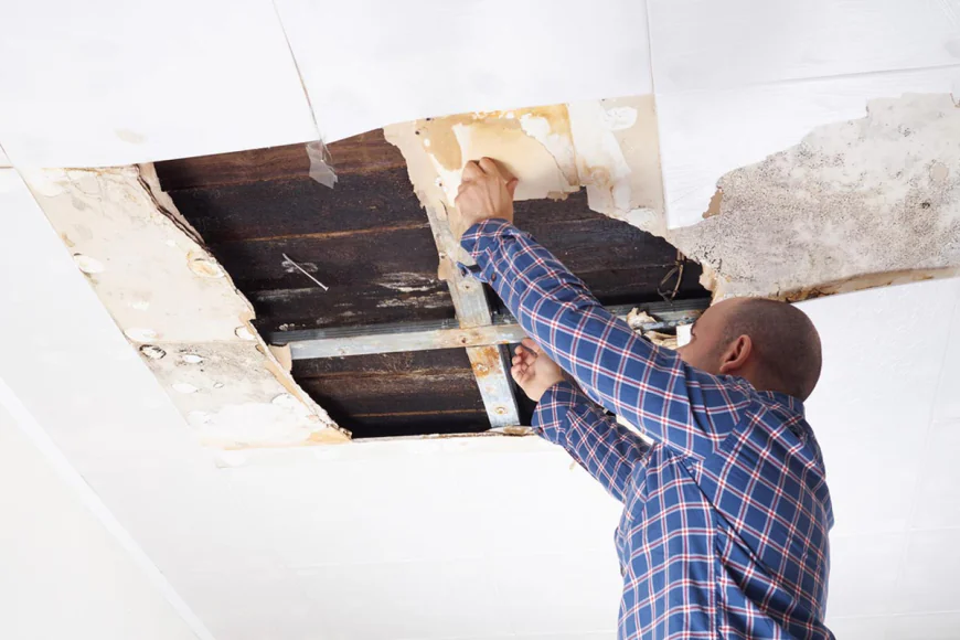 Drywall Restoration Contractors Fort Myers FL: Complete Guide to Repairing and Restoring Walls