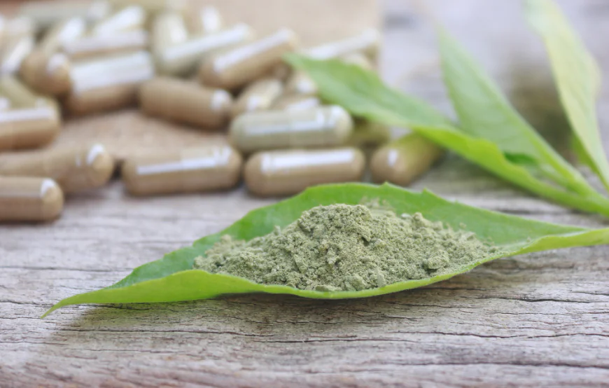 10 Organic Memory Enhancers Backed by Science for Better Recall