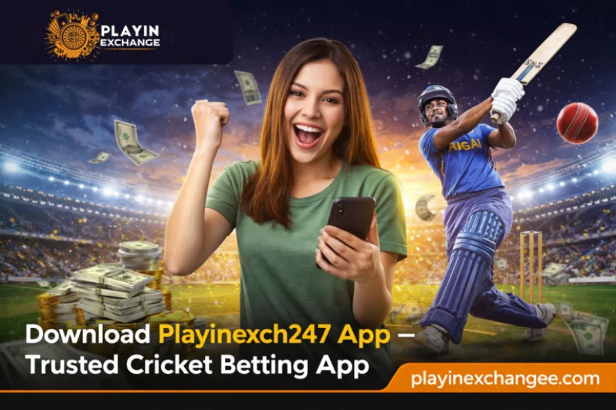 Download Playinexch247 App – Trusted Cricket Betting App
