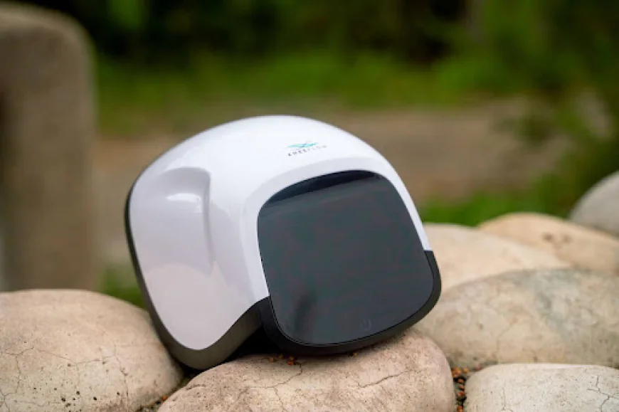 Machine-Based Knee Pain Relief: What Really Works in 2026