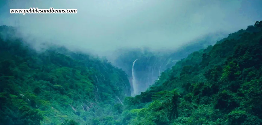 Monsoon Romance In Sakleshpur