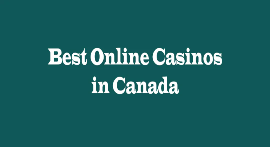 Top-Rated Online Casinos in Canada: A Balanced Look at What Matters Most
