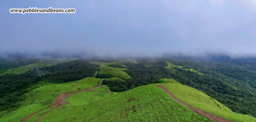 Patla Betta: The Secret Sunrise Trek That Offers Views of Three Districts