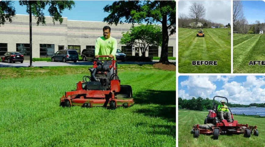 Lawn Mowing Mascot – Professional Garden Care for a Perfect Yard