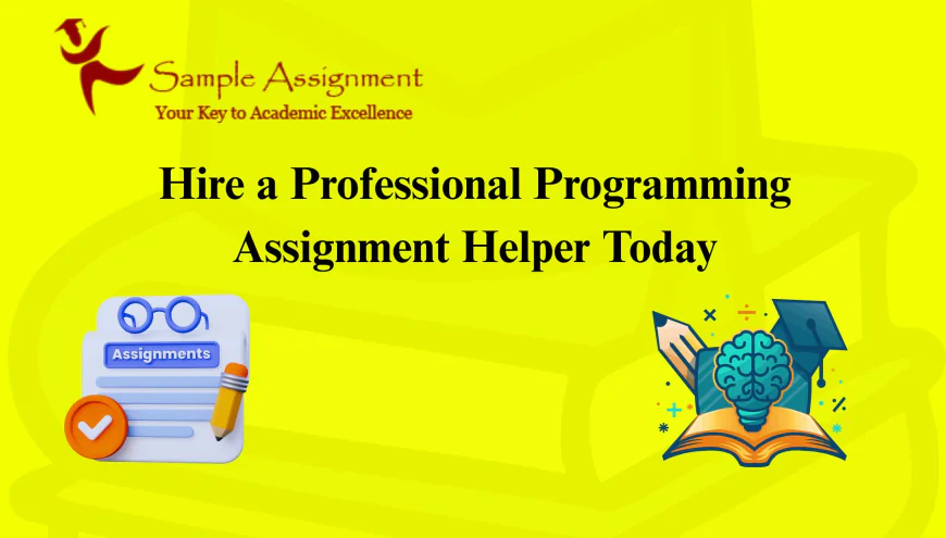 Hire a Professional Programming Assignment Helper Today