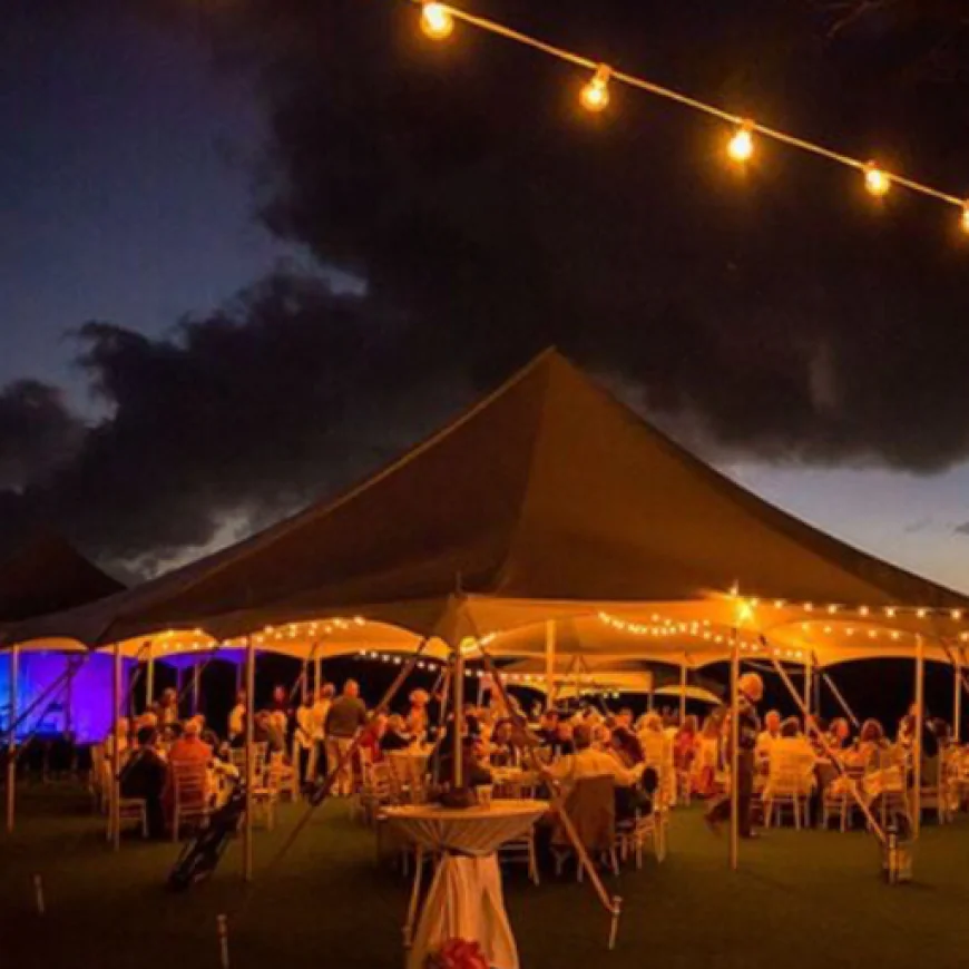 5 Must-Have Party Rentals to Instantly Elevate Any Celebration