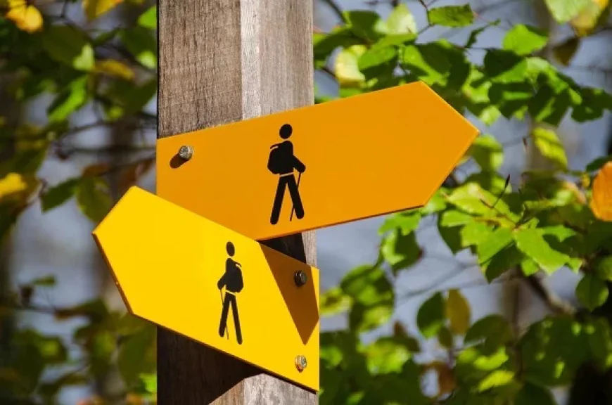 How Wayfinding Signs in Indianapolis Improve Navigation, Customer Experience, and Accessibility Across Commercial and Public Spaces