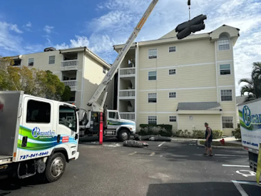 Professional Fumigation Services: Process, Benefits, and Safety