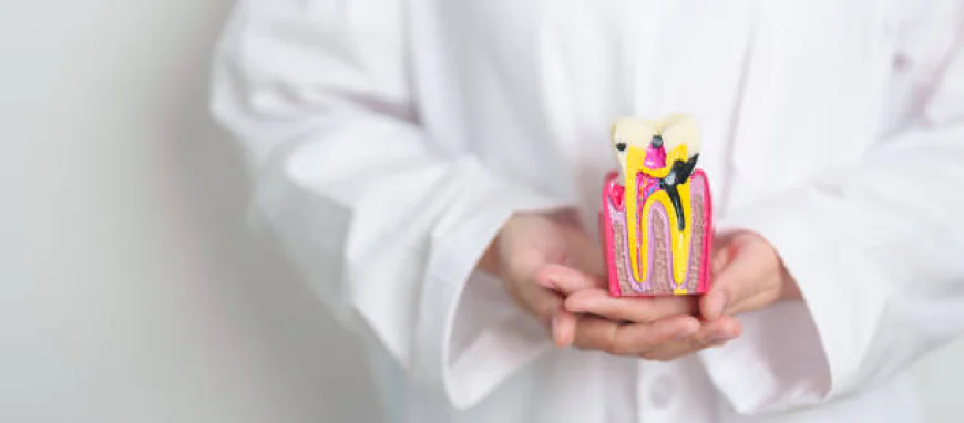 How Root Canal Treatment Prevents Tooth Loss