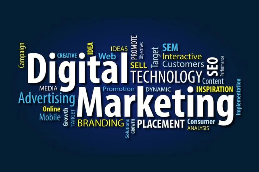 Digital Marketing Agency That Drives ROI – Why Wildnet Technologies Ltd. Leads the Market