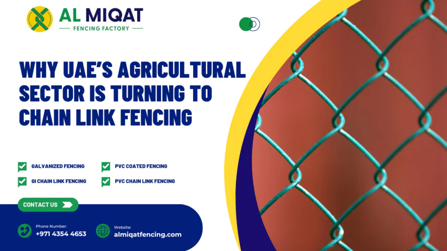 Why UAE’s Agricultural Sector Is Turning to Chain Link Fencing