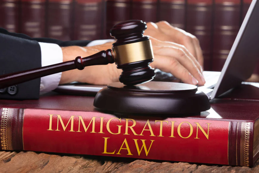 Mastering the Global Talent Stream: Why Business Immigration Lawyers are Critical in 2026