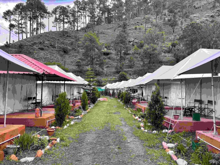 From Desert Festivals to Sacred Gatherings: Where to Stay for India’s Most Unique Travel Experiences