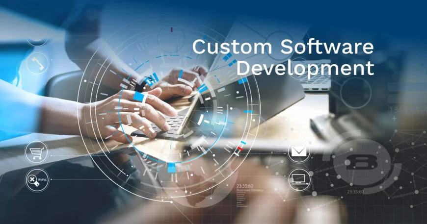 Why Businesses Need a Custom Software Development Company