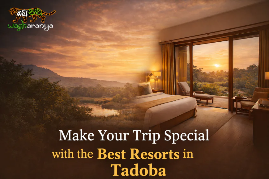 Make Your Trip Special with the Best Resorts in Tadoba