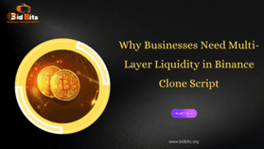 Why Businesses Need Multi-Layer Liquidity in Binance Clone Script