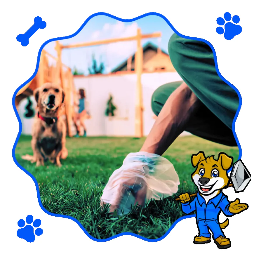 Dog Pooper Scooper Services for Easy Pet Waste Removal