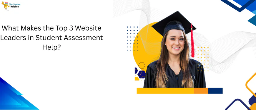 What Makes the Top 3 Website Leaders in Student Assessment Help