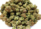Weed Delivery Made Easy: Delivery Weed Near Me, Apple Fritter Strain & THC Gummies
