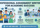 Professional Assignment Writers for Academic Success