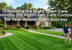 Choosing the Right Lawn Care Company for Year-Round Lawn Success