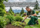 Choosing the Right Weed Control Services Vancouver Near You