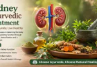 Kidney Ayurvedic Treatment in USA | MediLux Ayurveda