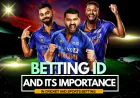 Best IPL Betting Sites with Shivaay Bharat Guide 2026