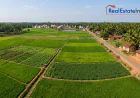 9600 Sq.ft. Farm Land in Acharapakkam, Chengalpattu: Is ₹16–17 Lakh a Smart Deal?