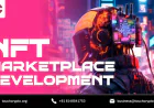 NFT Marketplace Development: From Concept to Launch