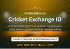 Cricket Exchange ID – A First Class Experience for IPL