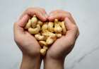 Where to Buy Cashew Nuts in Bulk from Trusted Suppliers India?