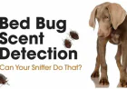 Dog Bed Bug Detection Cleveland – Fast & Reliable Service
