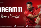 Is a Dream11 Clone Script the Smart Choice for Budget-Friendly Fantasy Apps  