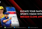 Elevate Your Fantasy Sports Vision with Dream11 Clone App