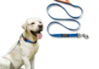 Dog Collars and Leashes: Safety Tips Every Pet Owner Should Know