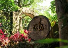 Tree House Bali Experience Nature Like Never Before with Roots Tree House