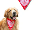 Dog Bandana vs Dog Collar: What’s the Difference?