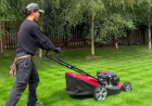 Why Garden Maintenance Contracts Are Essential for a Healthy Garden