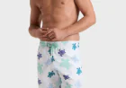 Stylish Vilebrequin Swim Shorts for Men