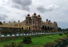 Ooty Tour Package from Mysore Including Tea Garden Visit