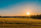 Best Resort Plots in Garhmukteshwar | Premium Investment at The Club Farm