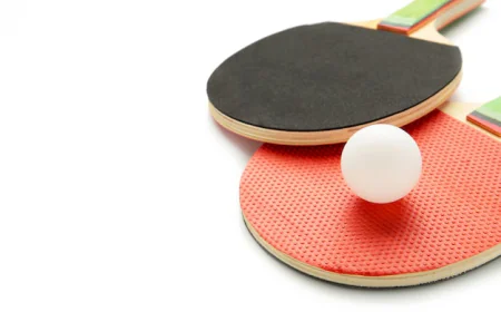Which Table Tennis Racket Rubber Suits You Best