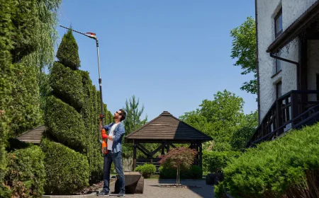 Landscaping and Fencing Near Me for Modern Outdoor Living