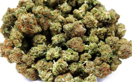 Weed Delivery Made Easy: Delivery Weed Near Me, Apple Fritter Strain & THC Gummies