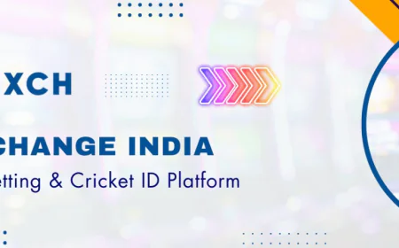 Tiger Exch: A Simple Guide to Understanding the Platform